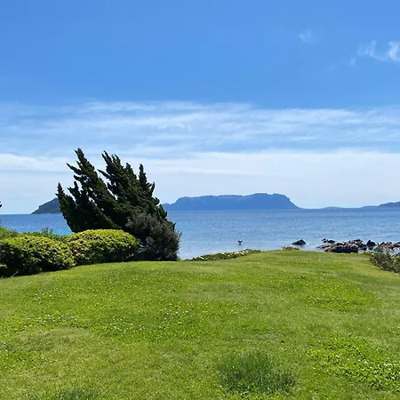 Isa - Luxury Elicriso Sea View With Common Swimming Pool Just 100 Mt From The Golfo Aranci