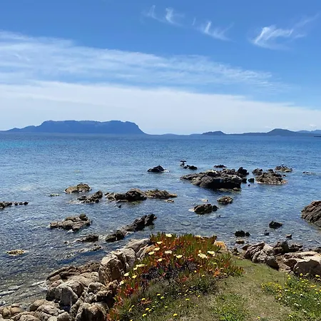 Isa - Luxury Elicriso Sea View With Common Swimming Pool Just 100 Mt From The Aparthotel 4*